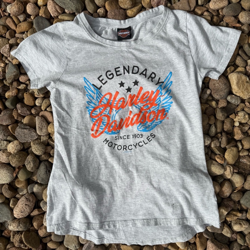 Harley-Davidson Gray Graphic Tee